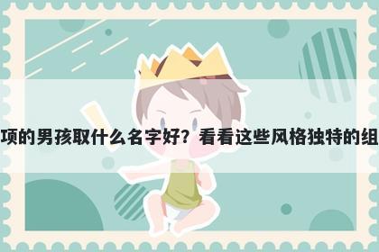 姓项的男孩取什么名字好？看看这些风格独特的组合