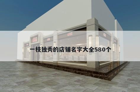 一枝独秀的店铺名字大全580个