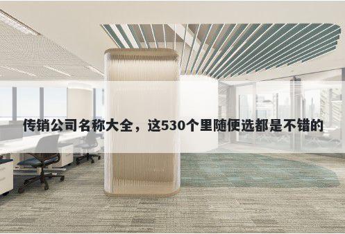 传销公司名称大全，这530个里随便选都是不错的
