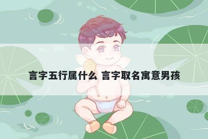 言字五行属什么 言字取名寓意男孩