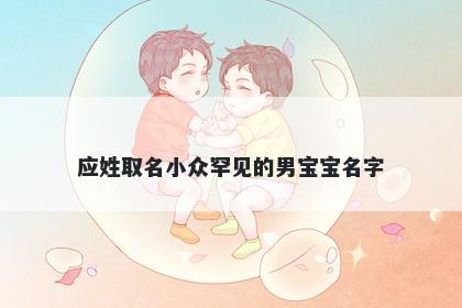 应姓取名小众罕见的男宝宝名字