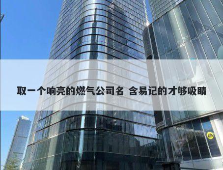 取一个响亮的燃气公司名 含易记的才够吸睛