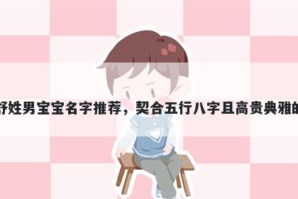 舒姓男宝宝名字推荐，契合五行八字且高贵典雅的