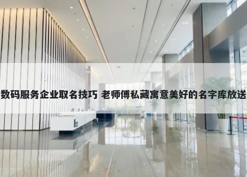数码服务企业取名技巧 老师傅私藏寓意美好的名字库放送