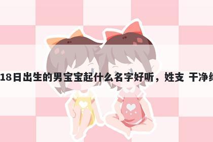 2025年-12月-18日出生的男宝宝起什么名字好听，姓支 干净纯粹的名字推荐