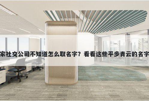 想开家社交公司不知道怎么取名字？看看这些平步青云的名字大全