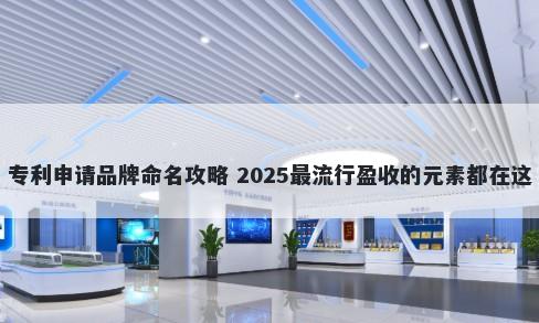 专利申请品牌命名攻略 2025最流行盈收的元素都在这