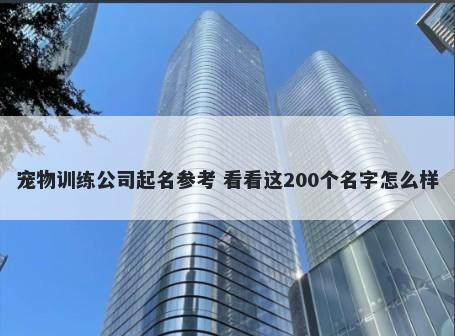 宠物训练公司起名参考 看看这200个名字怎么样