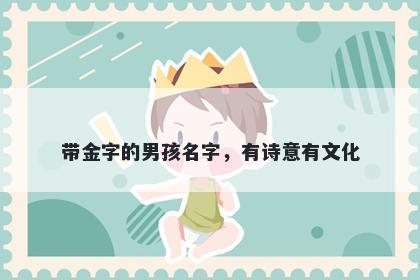 带金字的男孩名字，有诗意有文化