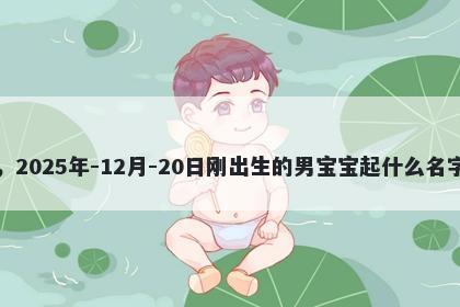 我姓万，2025年-12月-20日刚出生的男宝宝起什么名字比较好
