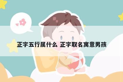 正字五行属什么 正字取名寓意男孩