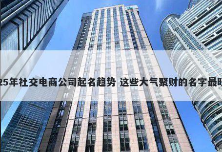 2025年社交电商公司起名趋势 这些大气聚财的名字最旺运