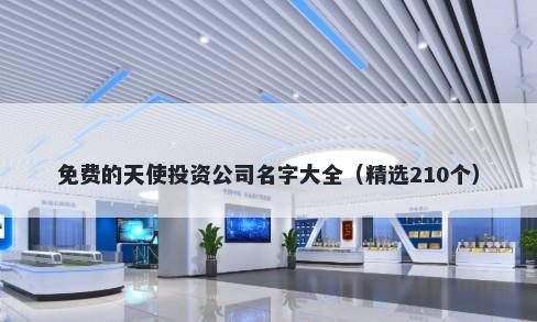 免费的天使投资公司名字大全（精选210个）