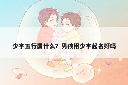 少字五行属什么？男孩用少字起名好吗