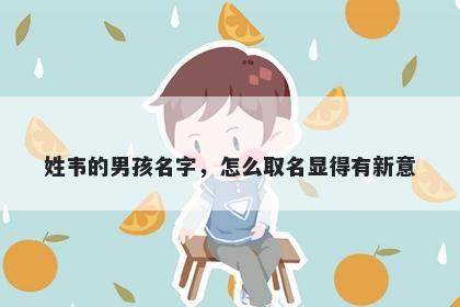 姓韦的男孩名字，怎么取名显得有新意