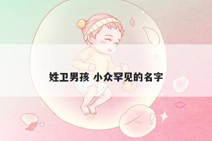 姓卫男孩 小众罕见的名字