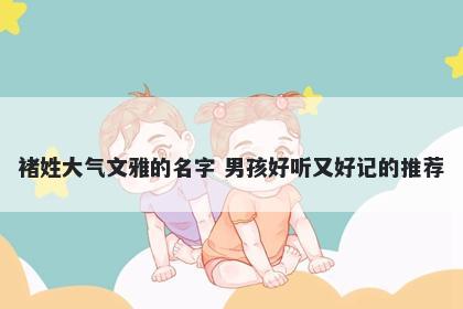 褚姓大气文雅的名字 男孩好听又好记的推荐