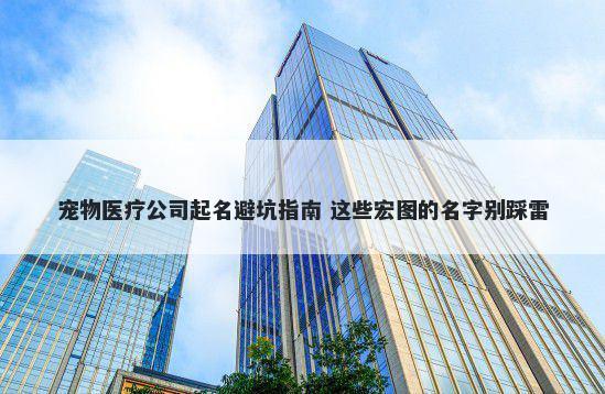 宠物医疗公司起名避坑指南 这些宏图的名字别踩雷