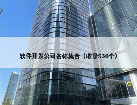 软件开发公司名称集合（收录530个）