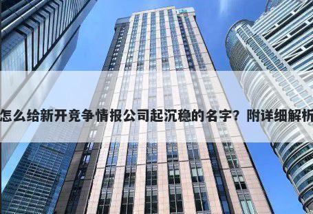 怎么给新开竞争情报公司起沉稳的名字？附详细解析