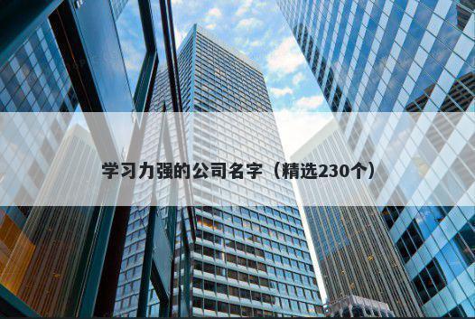 学习力强的公司名字（精选230个）