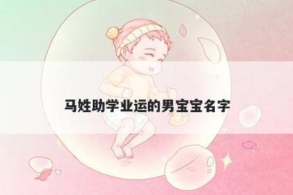 马姓助学业运的男宝宝名字