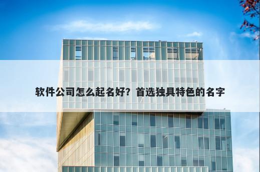 软件公司怎么起名好？首选独具特色的名字