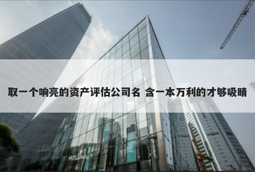 取一个响亮的资产评估公司名 含一本万利的才够吸睛