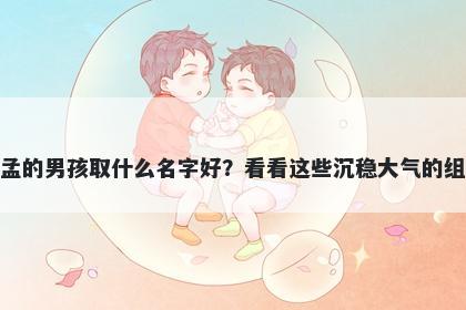 姓孟的男孩取什么名字好？看看这些沉稳大气的组合