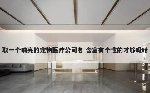 取一个响亮的宠物医疗公司名 含富有个性的才够吸睛