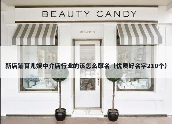 新店铺育儿嫂中介店行业的该怎么取名（优质好名字210个）