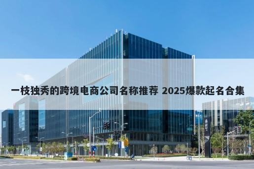 一枝独秀的跨境电商公司名称推荐 2025爆款起名合集