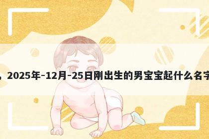 我姓岑，2025年-12月-25日刚出生的男宝宝起什么名字比较好