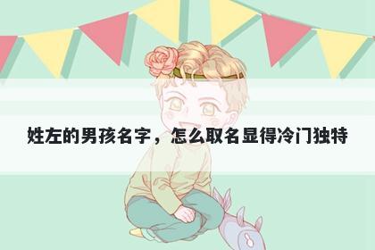 姓左的男孩名字，怎么取名显得冷门独特