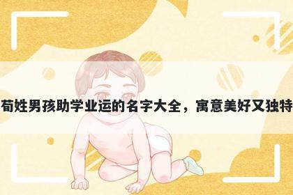 荀姓男孩助学业运的名字大全，寓意美好又独特
