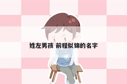 姓左男孩 前程似锦的名字