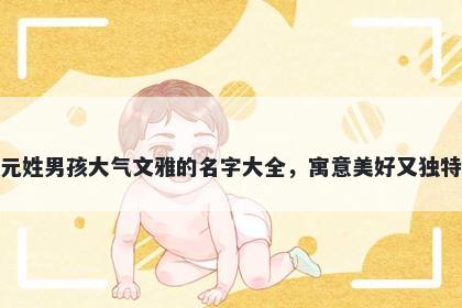 元姓男孩大气文雅的名字大全，寓意美好又独特