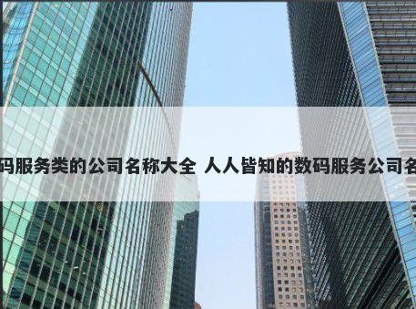 数码服务类的公司名称大全 人人皆知的数码服务公司名字