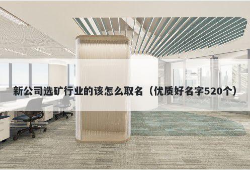 新公司选矿行业的该怎么取名（优质好名字520个）