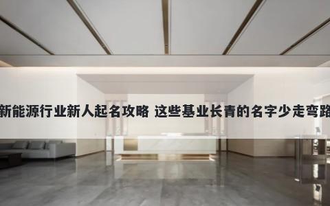 新能源行业新人起名攻略 这些基业长青的名字少走弯路