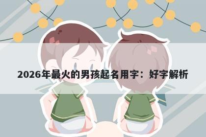 2026年最火的男孩起名用字：好字解析