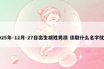 2025年-12月-27日出生胡姓男孩 该取什么名字优美