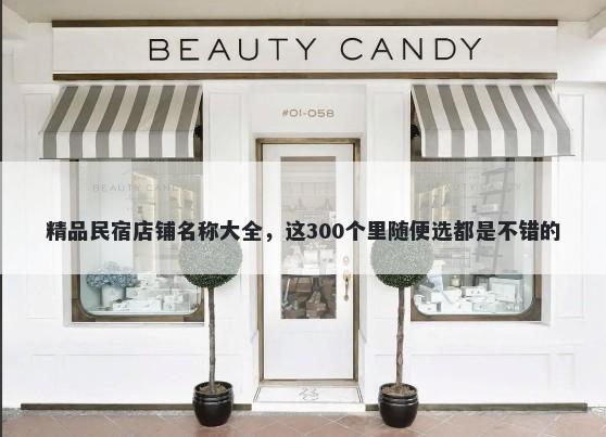 精品民宿店铺名称大全，这300个里随便选都是不错的