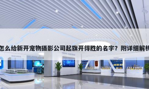 怎么给新开宠物摄影公司起旗开得胜的名字？附详细解析