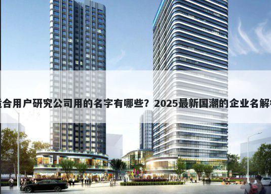 适合用户研究公司用的名字有哪些？2025最新国潮的企业名解析