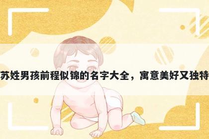 苏姓男孩前程似锦的名字大全，寓意美好又独特
