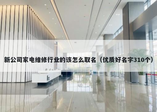 新公司家电维修行业的该怎么取名（优质好名字310个）