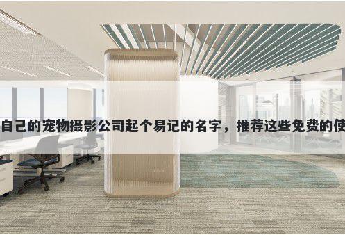 给自己的宠物摄影公司起个易记的名字，推荐这些免费的使用