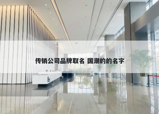 传销公司品牌取名 国潮的的名字