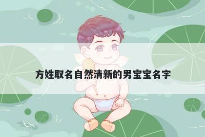 方姓取名自然清新的男宝宝名字